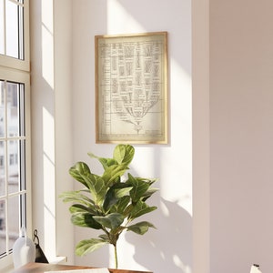 May include: A vintage-style print of a tree-like diagram with branches and labels. The print is framed in a light wood frame and hangs on a white wall. A green plant sits on a wooden table in the foreground.