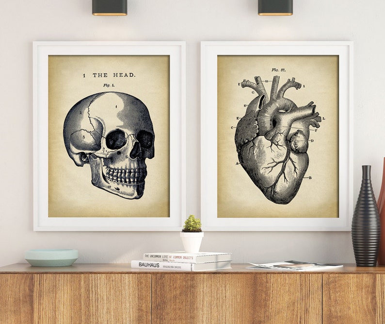 May include: Two vintage anatomical illustrations in black and white, framed in white. The left image shows a human skull with labeled parts. The right image shows a human heart with labeled parts. The text on the left image reads "1 THE HEAD. Fig. 1."