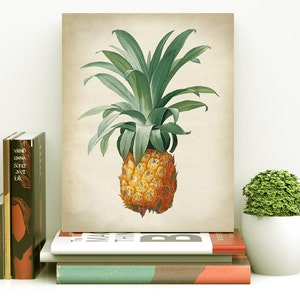 Pineapple botanical print, Pineapple poster, tropical fruit, Pineapple print, Pineapple art decor, botanical art, Fast Track Shipping image 2