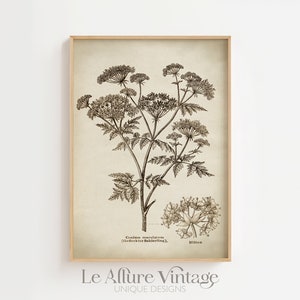 Giftige Pflanze Druck, Bleistift Zeichnung Skizze Druck, Vintage Blume, witchy Dekor, rustikale Bauernhaus Dekor, gedruckte Wand Kunst per Post verschickt fast track