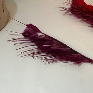 Millinery Feather Mount Wine