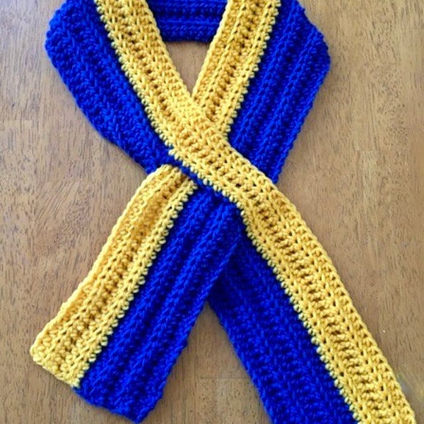 Blue and Gold Scarf