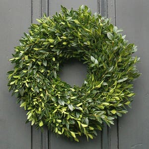 Christmas Wreath, Boxwood Wreath, 12, Fresh Boxwood Wreath, Live Holiday Wreaths, Front Door Wreath, Natural Wedding Decor, Real Boxwood None