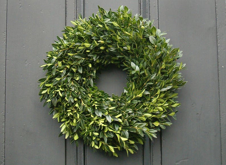 Christmas Wreath, Boxwood Wreath, 12, Fresh Boxwood Wreath, Live Holiday Wreaths, Front Door Wreath, Natural Wedding Decor, Real Boxwood None