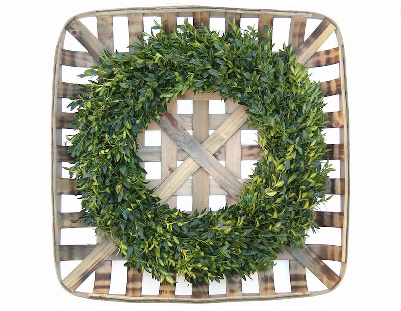 Boxwood Wreath Fresh Boxwood Wreath 18 Fresh Etsy