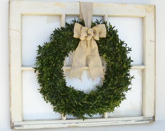 Christmas Wreath, 20", Boxwood Wreath, Fresh Boxwood Wreath, Live Wreath, Front Door Wreath,  Natural Boxwood Wreath, Real Boxwood Wreath