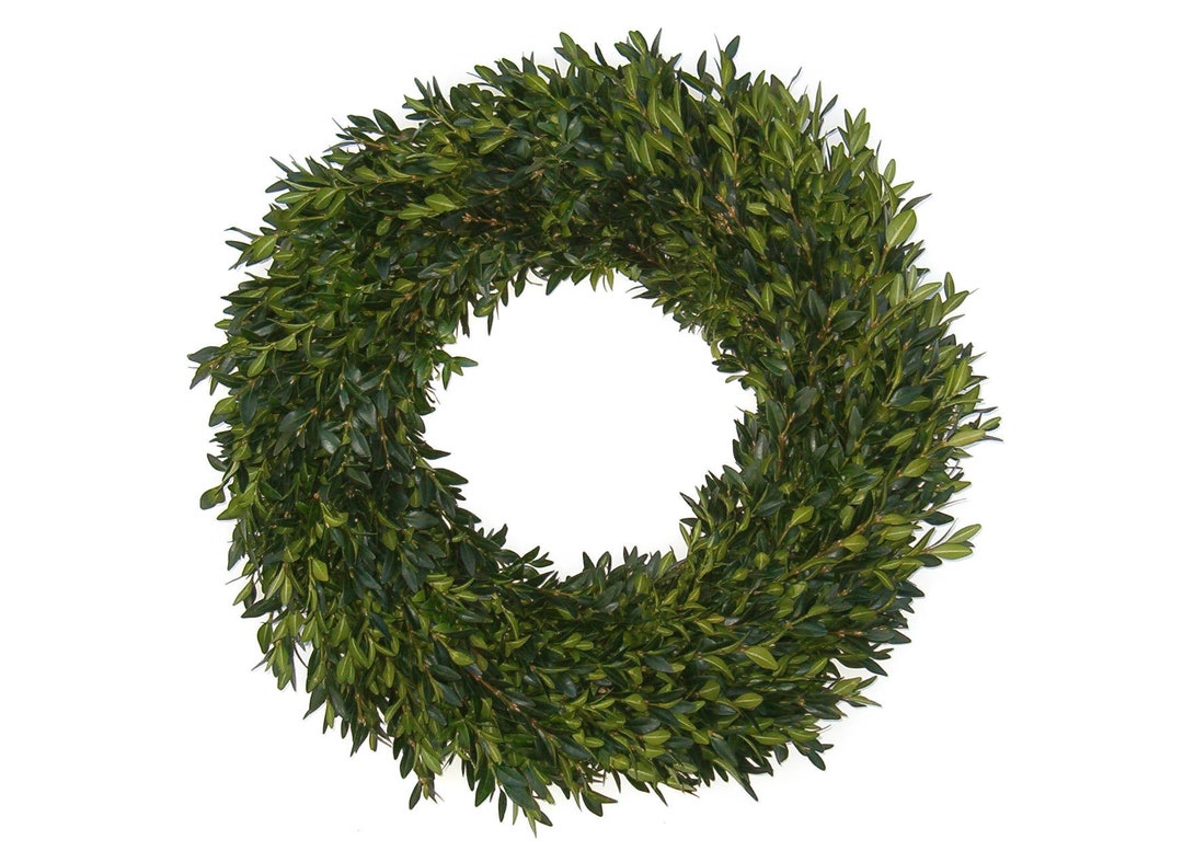 Boxwood Wreath, 14, Fresh Boxwood Wreath, Fresh Christmas Wreath