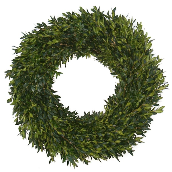 Boxwood Wreath, 14", Fresh Boxwood Wreath, Fresh Christmas Wreath, Burlap Bow, Front Door Wreath,  Natural Wedding Decor, Real Boxwood