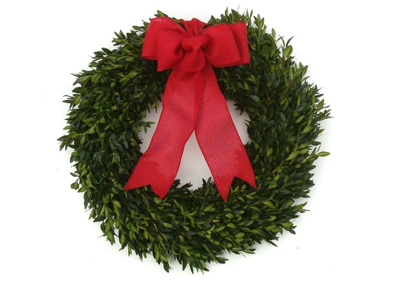 Christmas Wreath, Boxwood Wreath, 12, Fresh Boxwood Wreath, Live Holiday Wreaths, Front Door Wreath, Natural Wedding Decor, Real Boxwood Red