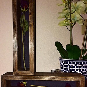 May include: Two wooden shadow boxes with preserved roses. One box is vertical, the other horizontal. The roses are deep red with green leaves, set against a dark blue background. The wood frames have a dark stain.