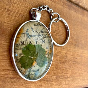 Echter vierblättriger Kleeblatt-Schlüsselanhänger mit Vintage-Karte von Maine
