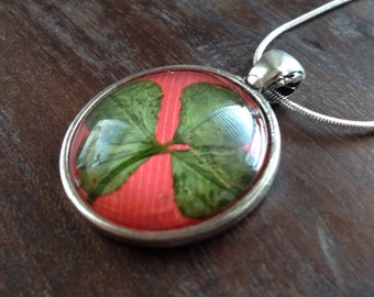 Genuine four-leaf clover necklace (red)
