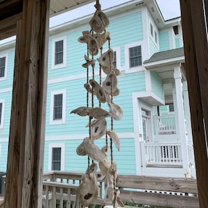May include: A hanging coastal wind chime made of natural oyster shells. The shells are strung together with twine and suspended from a metal hook. The background features a light blue house with white trim, suggesting a beach or seaside theme.