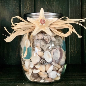 Seashell Jar with Starfish: Coastal Beach House Decor