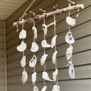 May include: A white oyster shell wind chime with brown wooden beads hanging from a branch. The chime is made of multiple oyster shells strung together on twine.
