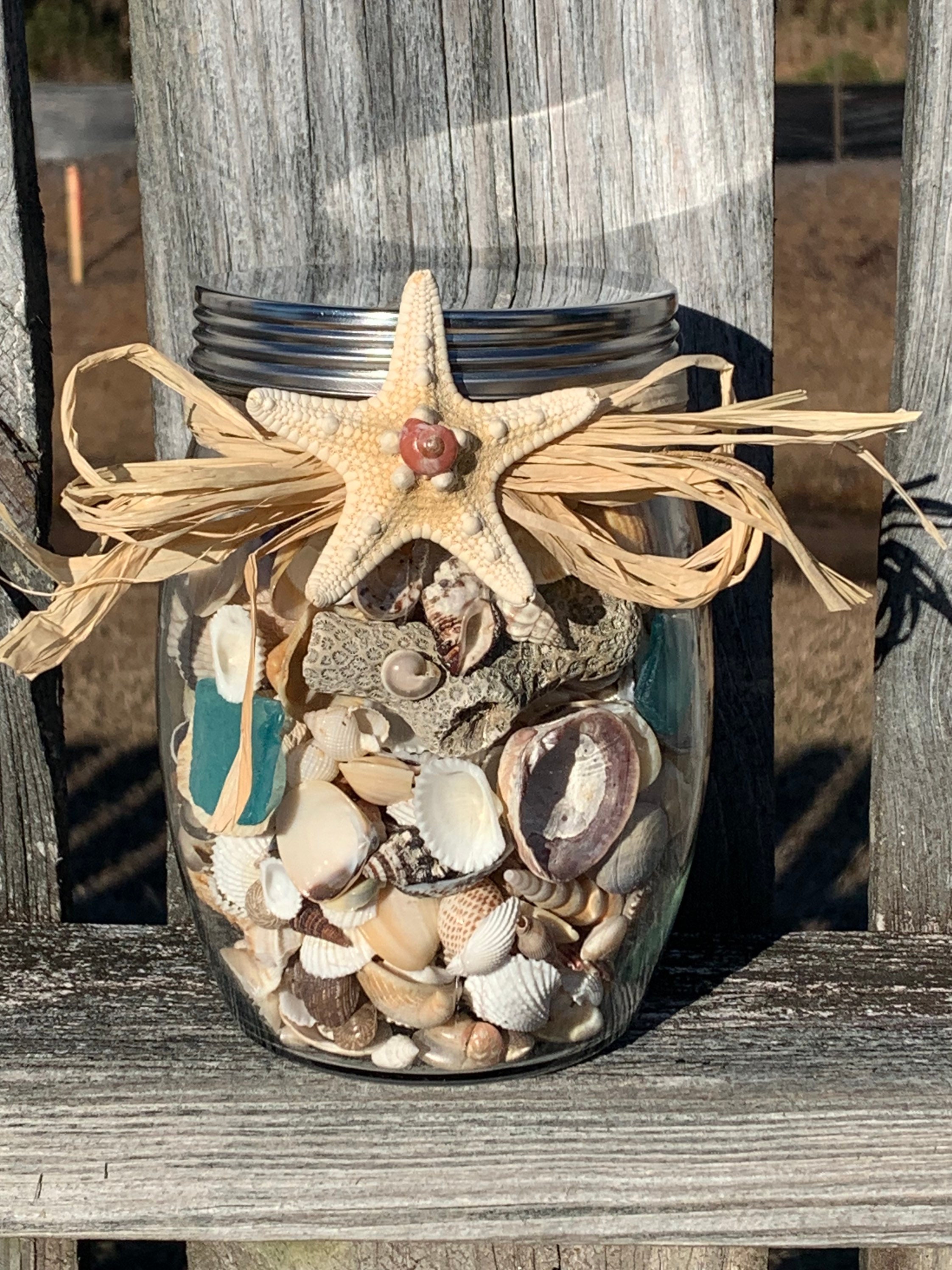 TaoQ - Coquillages Marins Mixtes Naturels + Étoiles De Mer Pour Déco Plage, Mariage, Vase | Taille 3-9cm | Lot De 70+ Pièces