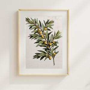 Vintage Olives, Spanish Kitchen Olives Art, Vintage Olives Printable, Country Wall Art | Downloadable Art Print | Instant Download