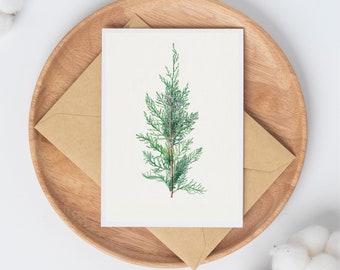 May include: A greeting card with a watercolor illustration of a green cedar branch on a cream background.