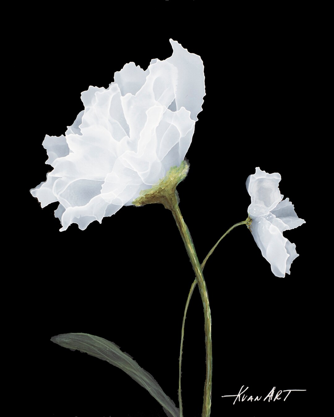 Spirit Onyx, Fine Art Print, Giclée, Floral Bloom, Abstract Flower ...