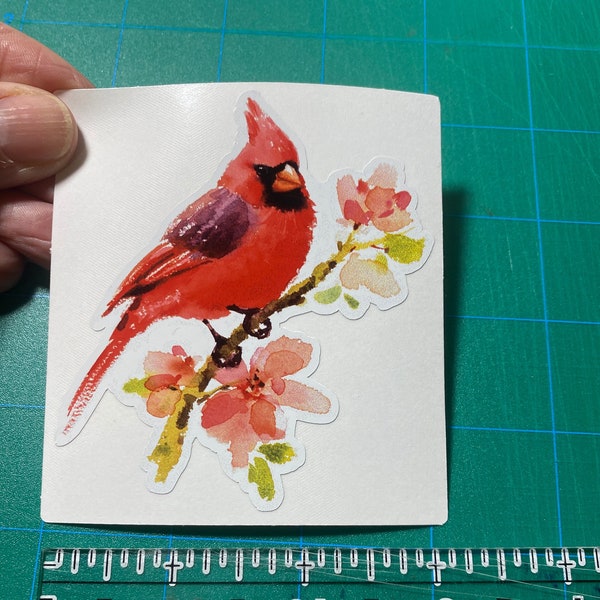 Sticker 38A Watercolor Red Cardinal with Pink Flowers PRINTED vinyl sticker White Clear Sticker Permanent Adhesive Waterproof Ink CLEARANCE