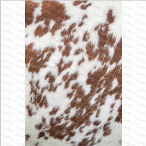 May include: Close-up of a brown and white cowhide with a soft, fuzzy texture. The hide has a natural pattern of brown spots on a white background.