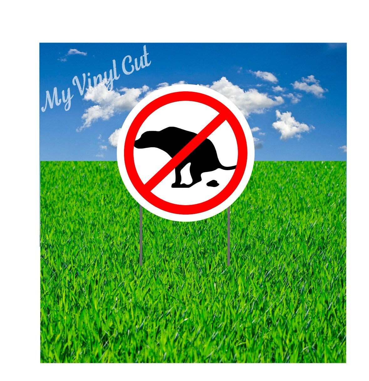 Can You Mow A Lawn With Dog Poop