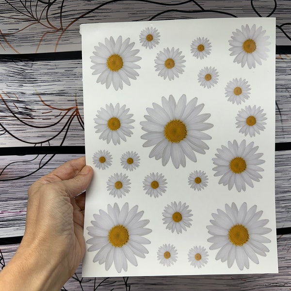 Waterslide Decals 8 x 10 Sheet of White Daisy Flowers PRINTED waterslide paper assorted sizes No Sealing needed to remove from paper backing