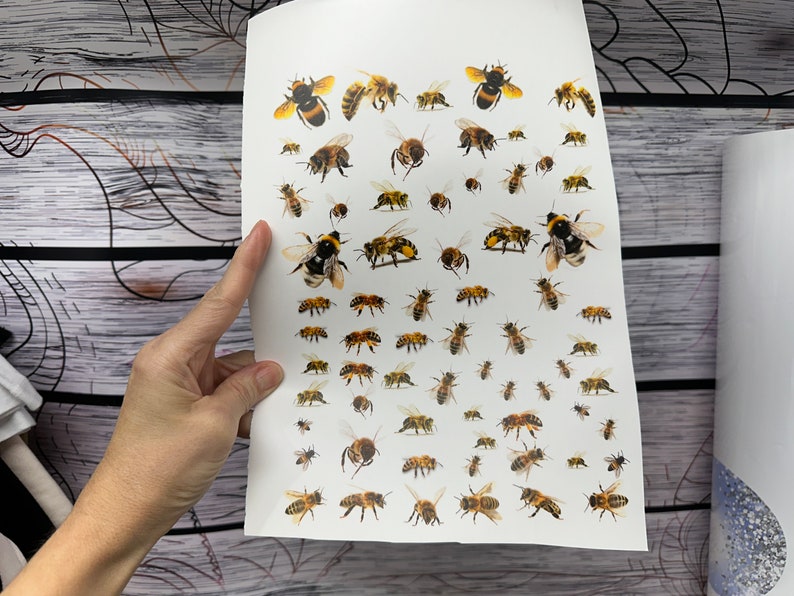 May include: A sheet of white paper with a variety of bee stickers. The bees are in different sizes and positions, and some are facing forward while others are facing sideways. The bees are all yellow and black with brown stripes.