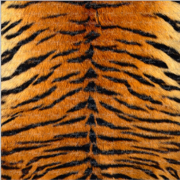 Realistic TIGER STRIPES Pattern Printed Heat Transfer Vinyl HTV for T shirts, Adhesive Vinyl for Cups 12 x 8 1/2 inch sheet