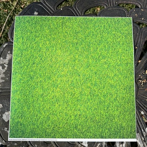 May include: A square sheet of paper with a bright green grass pattern. The image shows a close-up of the grass, with individual blades visible. The paper is on a black metal surface.