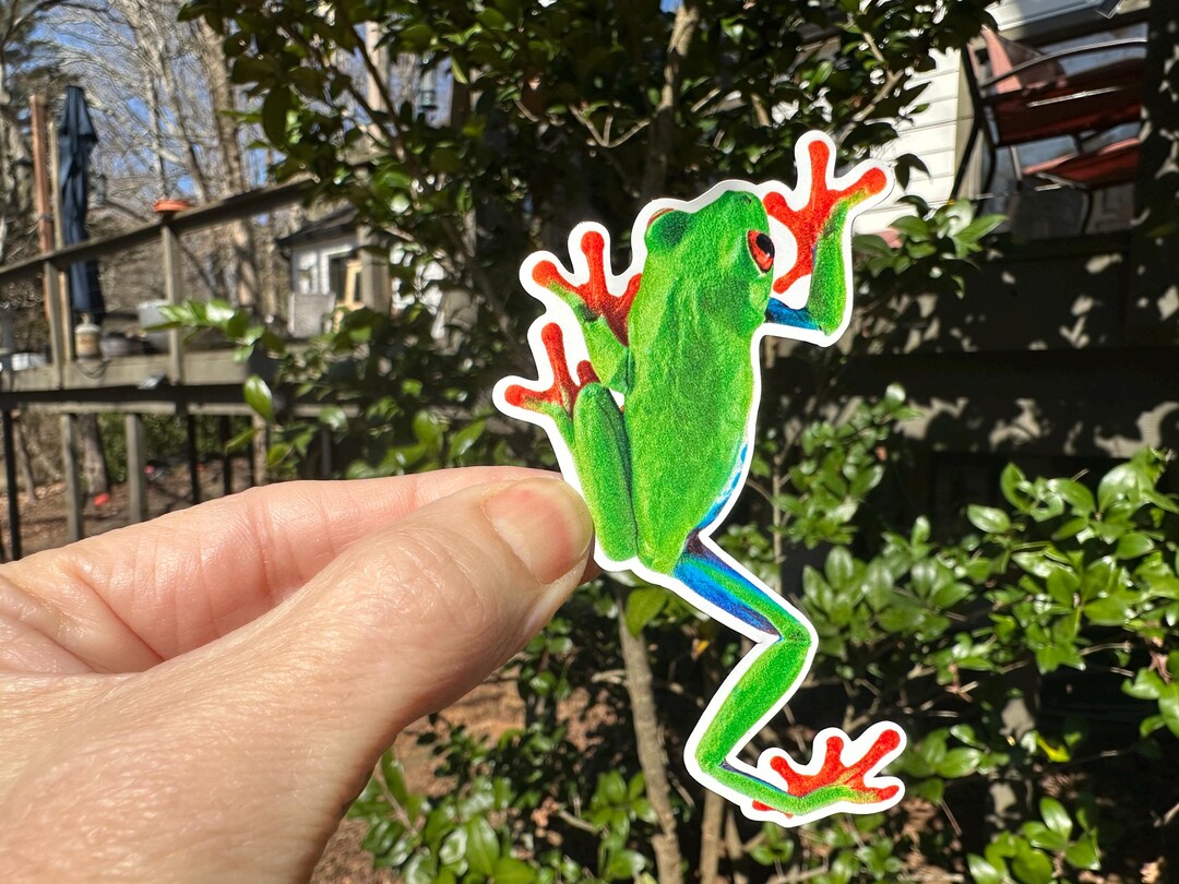 Tree Frog | 57A | Waterproof Vinyl Sticker | Window Cling | Glitter ...