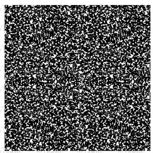 May include: Black and white speckled background with a random pattern of small dots and shapes.