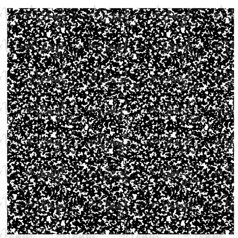 May include: Black and white speckled background with a random pattern of small dots and shapes.