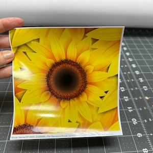 Printed Adhesive Vinyl Sunflower 6 inch by 6 inch square Put in your craft cutter and cut out a design
