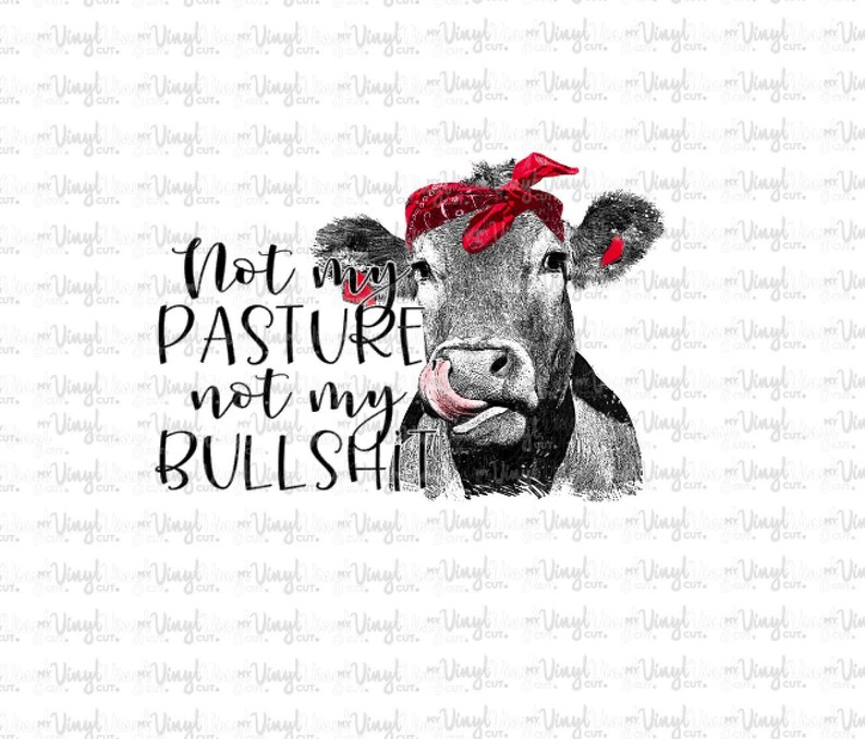 HTV Transfer 36N Not My Pasture Not My Bull Printed Heat Transfer Vinyl for shirt Press at home on your shirt! t shirt transfer DIY image 3
