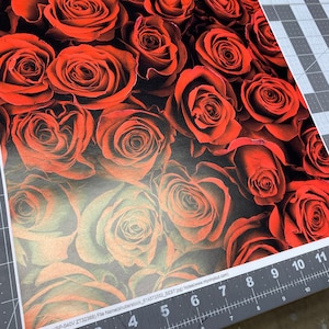 Printed HTV RED or Pink ROSES Heat Transfer Vinyl Pattern 1 Sheet for shirts or Adhesive Vinyl for cups Digitally Printed