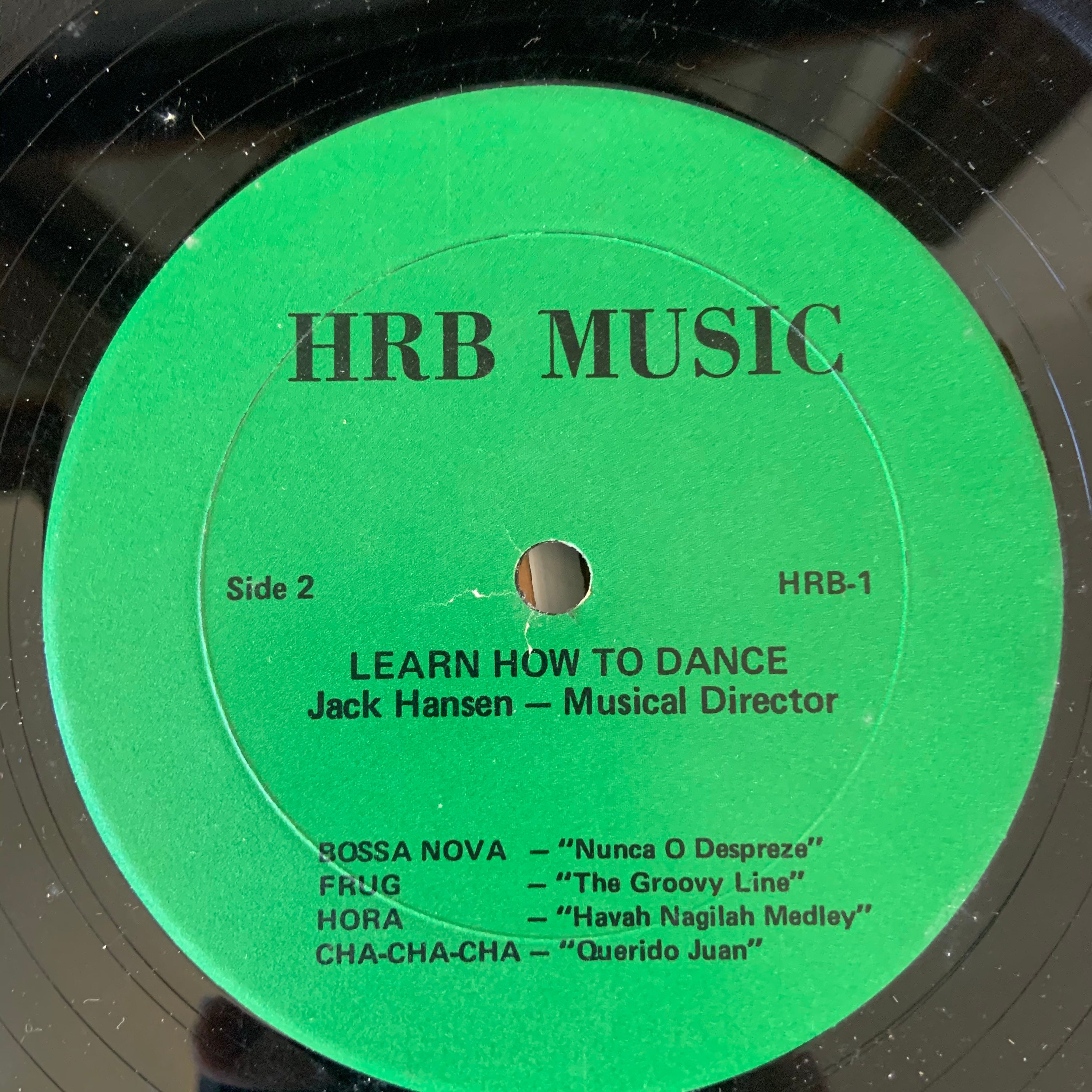 Vintage 1973 Vinyl Double Album Set Learn How to Dance With