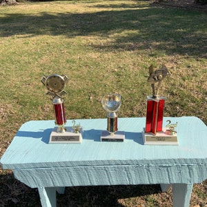 3 Vintage Retro Trophies