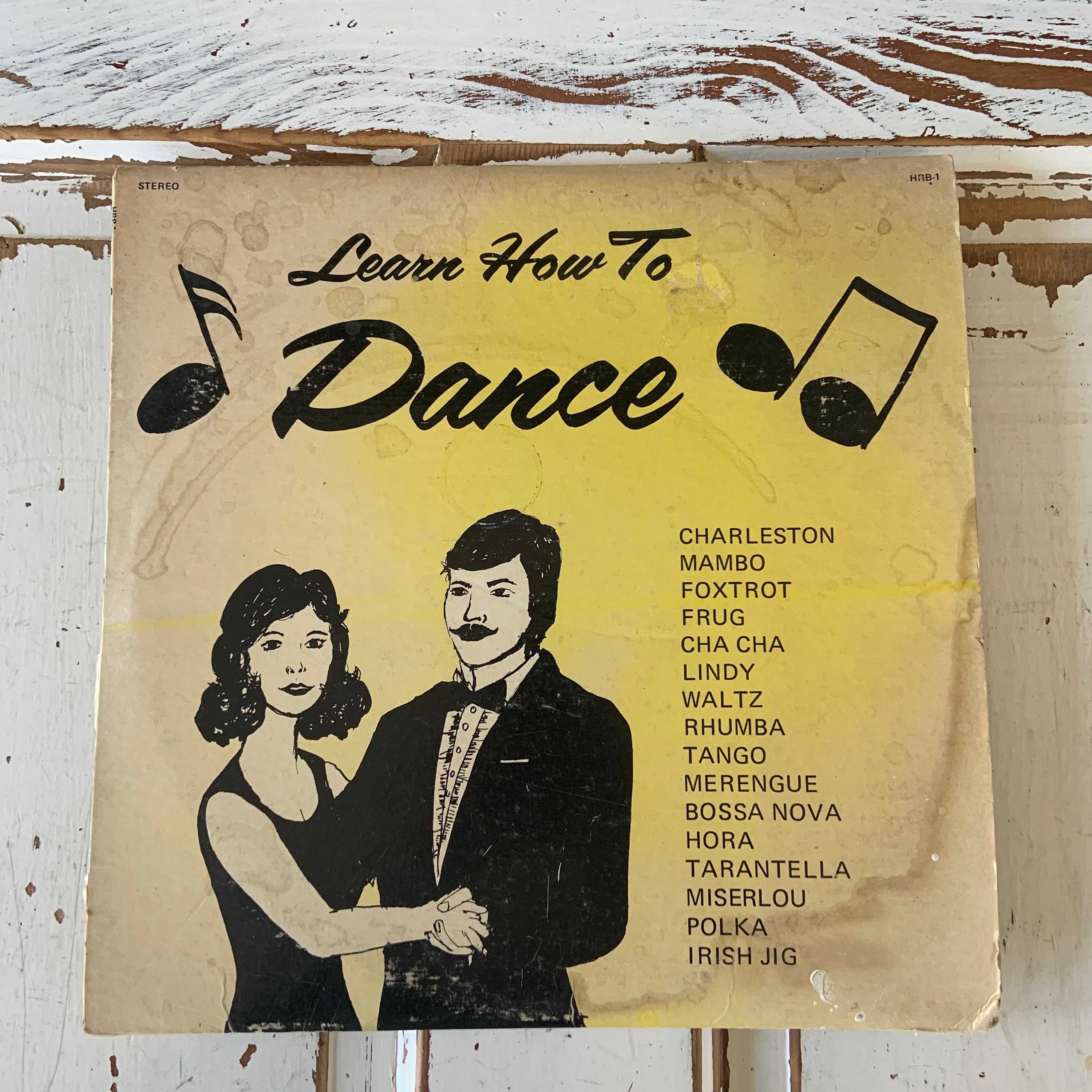 Vintage 1973 Vinyl Double Album Set Learn How to Dance With