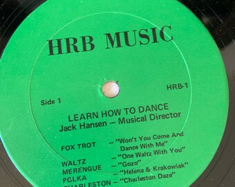 Vintage 1973 Vinyl Double Album Set Learn How to Dance With