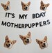 Birthday Banner for Dogs - It's My BDAY Motherpuppers