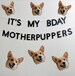 Birthday Banner for Dogs - It's My BDAY Motherpuppers 