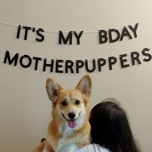 Birthday Banner for Dogs It's My BDAY Motherpuppers image 5