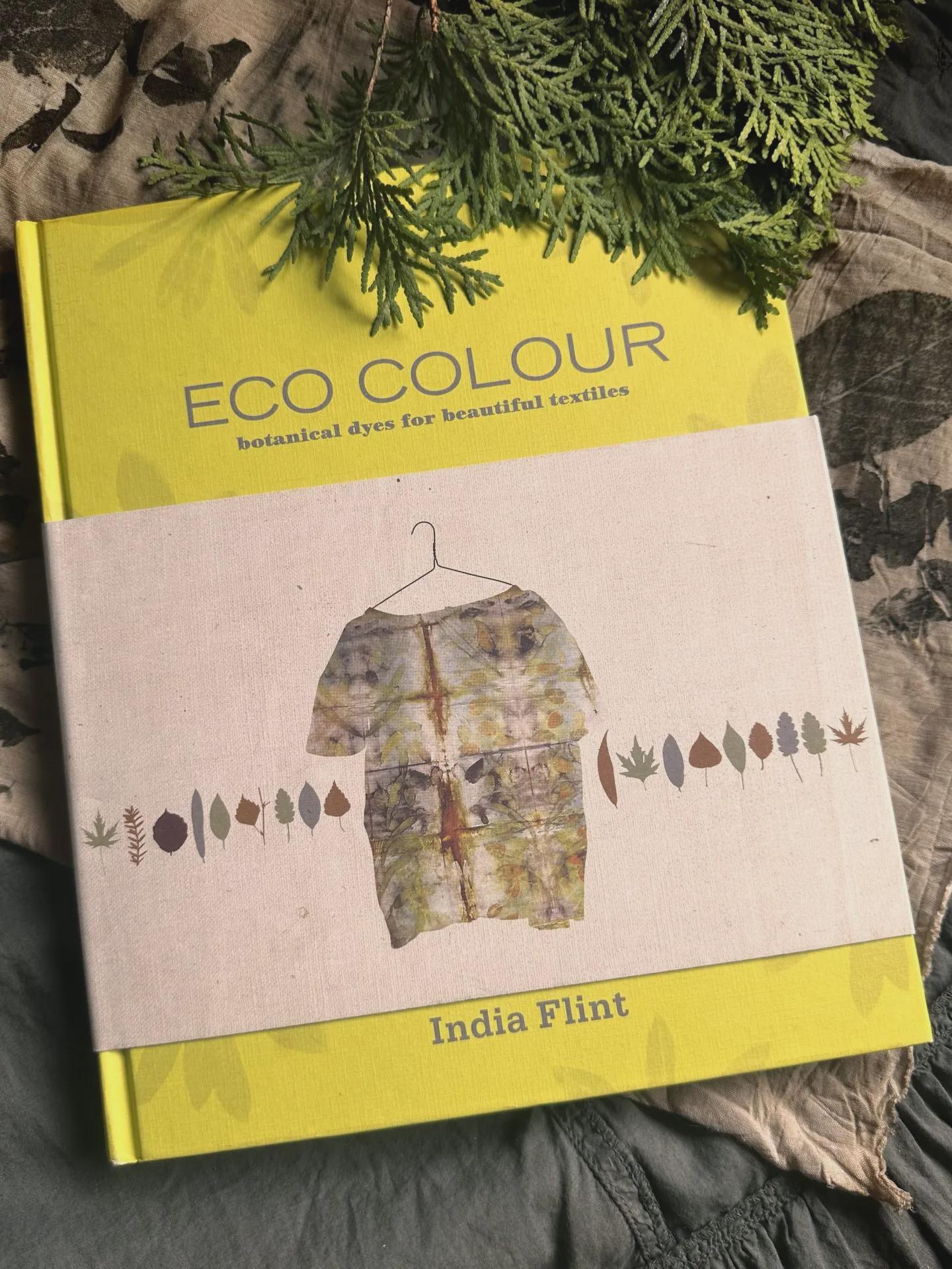 洋書 ECO COLOUR India Flint Eco Colour: Botanical Dyes for