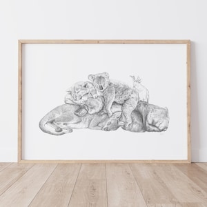 Puede incluir: Un dibujo a lápiz en blanco y negro de un koala, un wombat, un gato y un conejo apilados uno encima del otro.