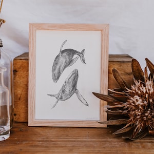 Whales Print, Whale Art, Nursery whale art, Animal Art, Whales drawing, Illustration Print, nature print
