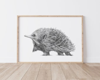 Nursery Decor Print - Echidna - Christmas gift - Xmas gift - Fine art print - wall art - nursery room - nursery art - drawing - animal print