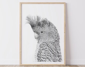 Nursery Decor Print, Bird, nursery room, nursery art, Christmas gift, Fine art print, wall art, greylead drawing, drawing, animal print, art
