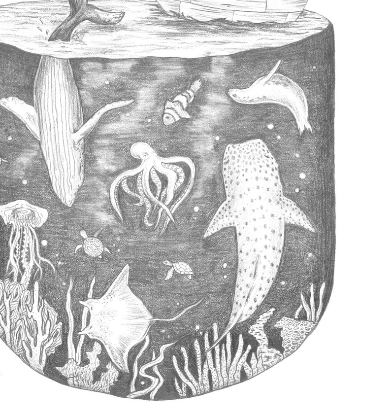 Under the Sea, Fine art print, illustration, pencil, drawing, ocean, boat, sea animals, magical, nursery art, whale, shark, coral, wall art image 2