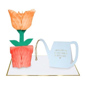 Fiore a nido d'ape e annaffiatoio Biglietto di buon compleanno Messaggio Celebrazione Carta floreale Compleanno per bambini Amanti dei fiori del giardiniere